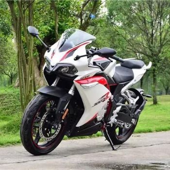 ¡�� �޼�300RR
