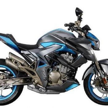 ���� 310r1