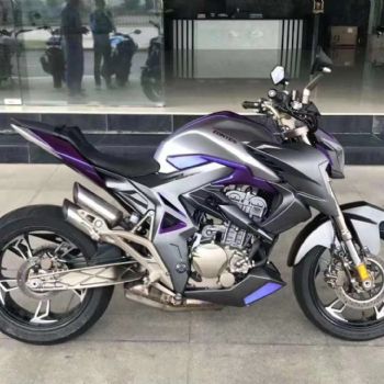  ����310R