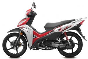 �´��ޱ�������110S SDH110-22������ͼ