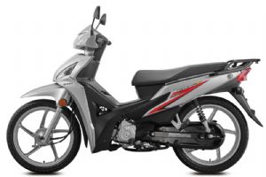 �´��ޱ�������110T SDH110-21������ͼ
