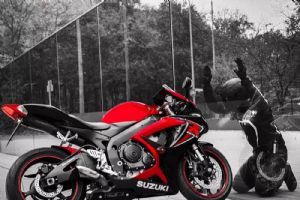 ����������ľGSXR600