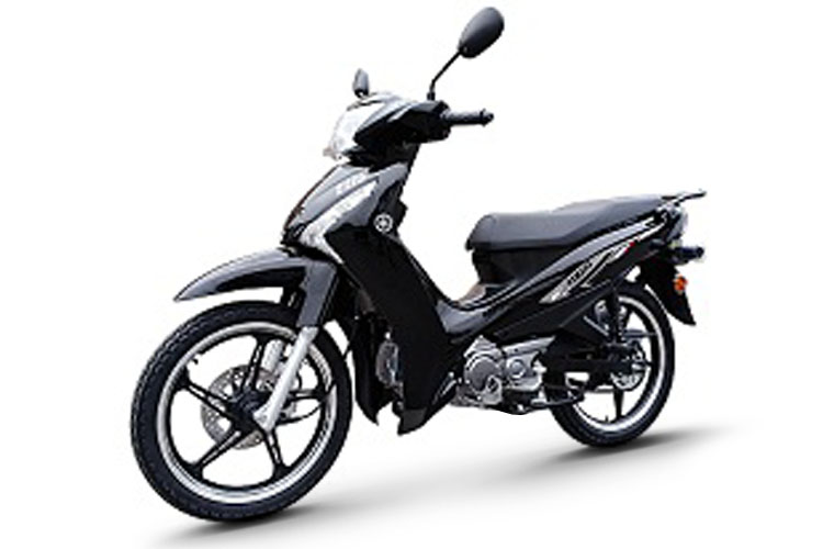 ������ Yamaha �迡