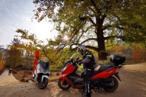 ����DY300T����V��Ӣ�ۼ�DAY3