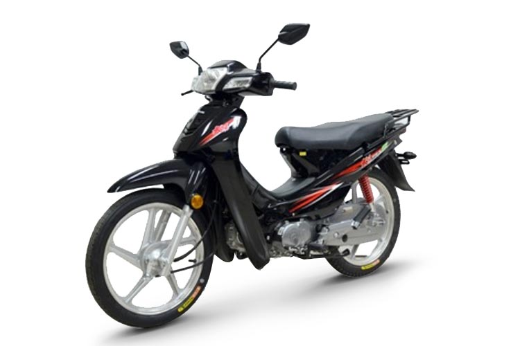 ���� DY110-2N(2022)