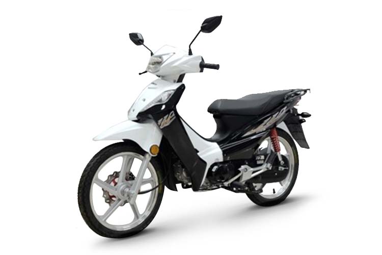 ���� DY110-12N(2022)