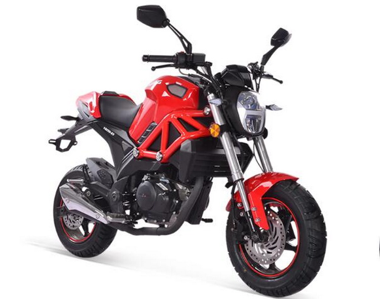 ���� ����(2019)