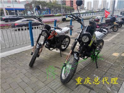 ��Դħ��ʦXY250GY-15����������ԽҰ����