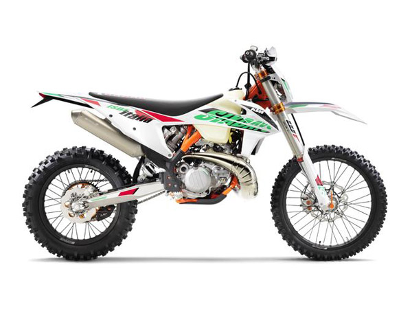 KTM EXC 250 TPI ISDE Six Day(2021)