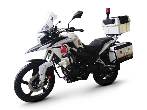 ���� ZS250J-2(2020)