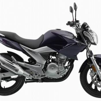  ����-������ ����YS250