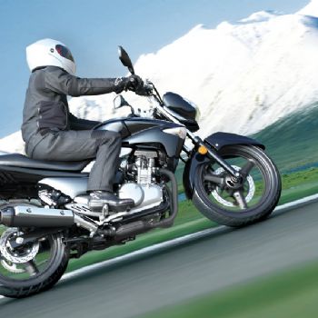 ������ľ-���GW250��׼��